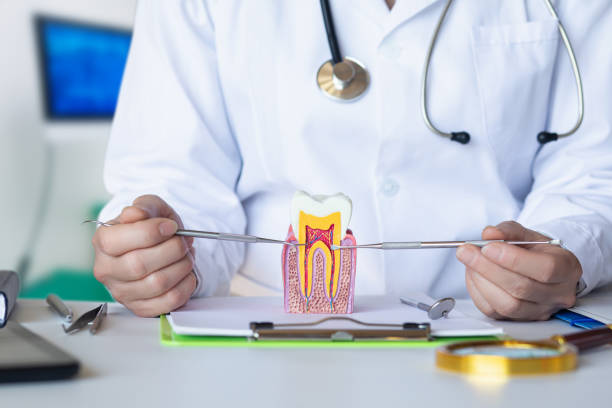 Best Emergency Root Canal Therapy in West Glendive, MT
